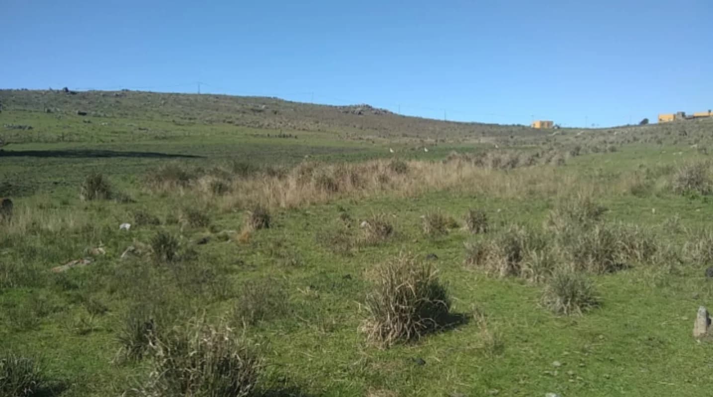Terreno de 300m2, Zona Calvario - 1